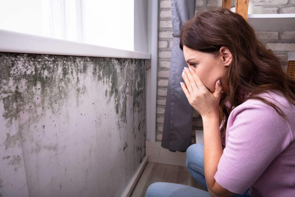 Mold Damage Restoration - New England Water Remediation
