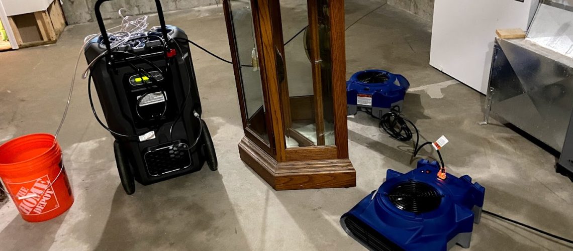 Can You Prevent Mold Growth After Water Damage? - New England Water Remediation